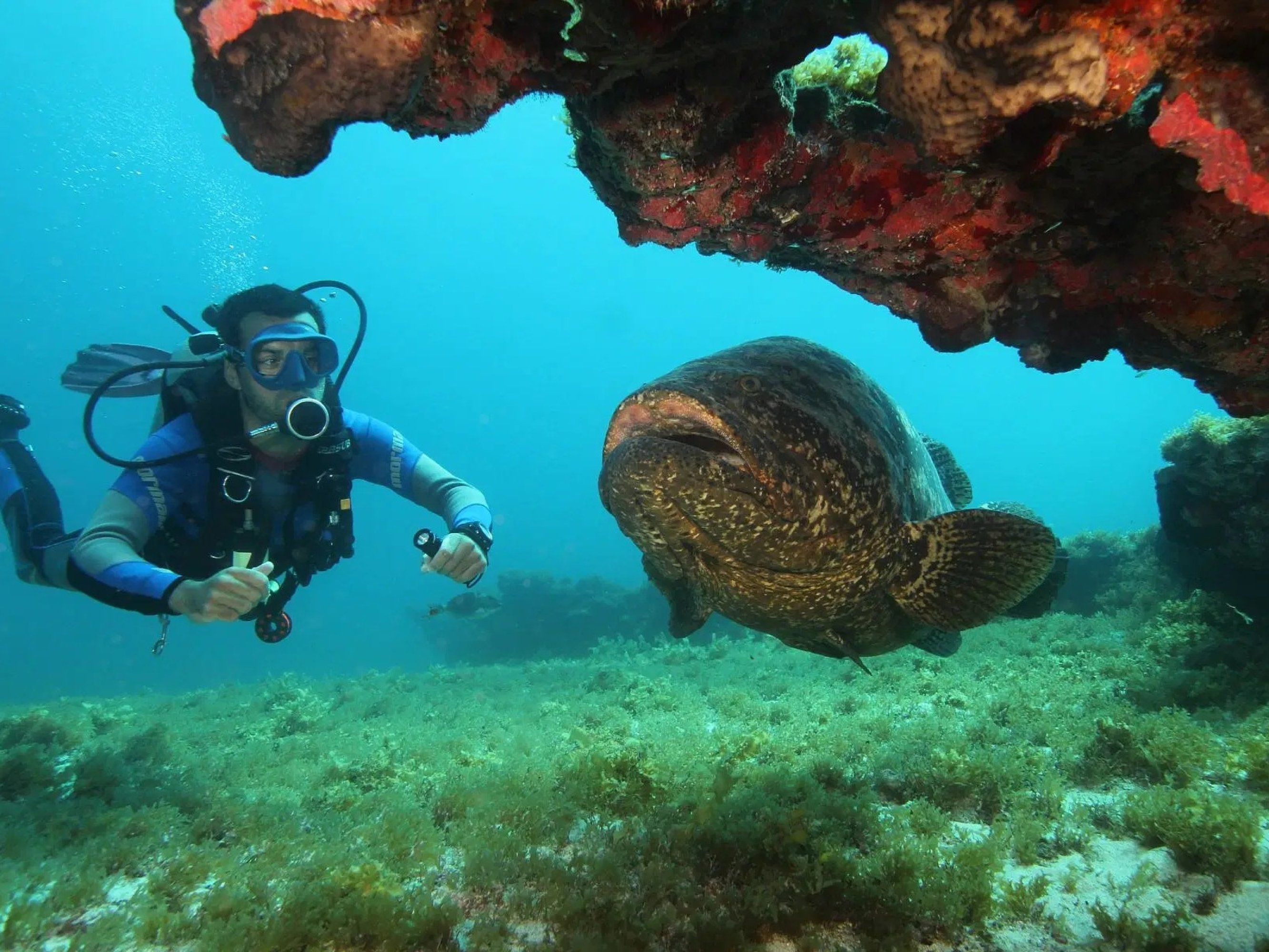 Floating beside vibrant corals, you discover a world you’ve never known