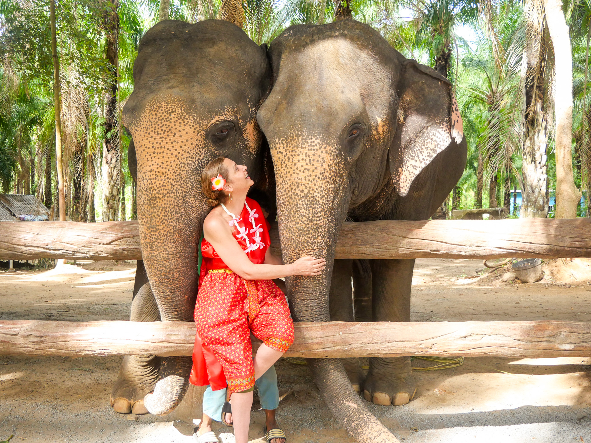 甲米大象保護區（Krabi Elephant Shelter）體驗