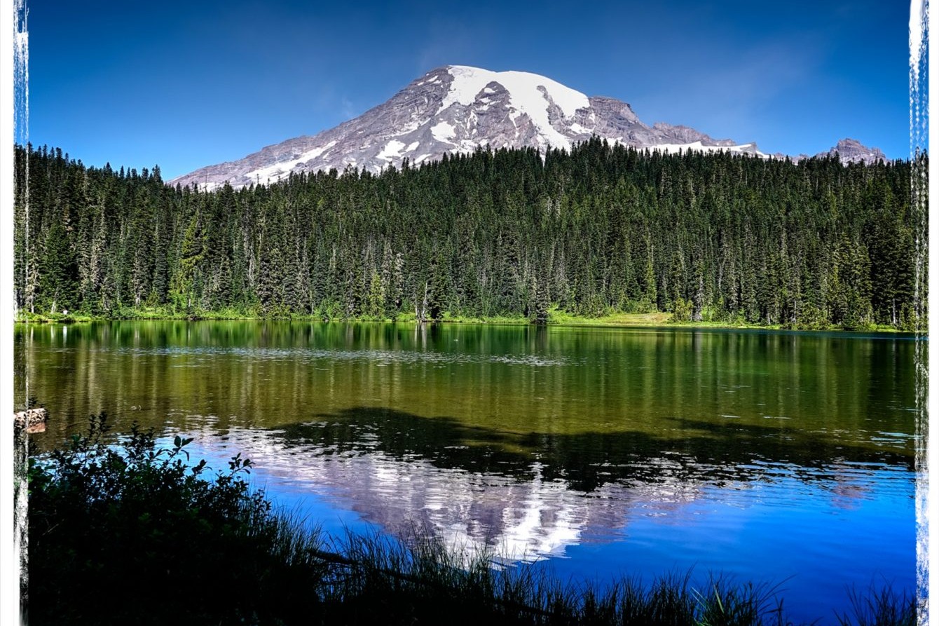 西雅圖雷尼爾山國家公園 (Mt. Rainier National Park) 私人 SUV 全日遊