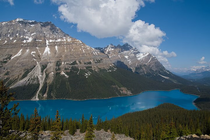 Marvel at brilliant turquoise glacial water fed by rock flour and Peyto Glacier
