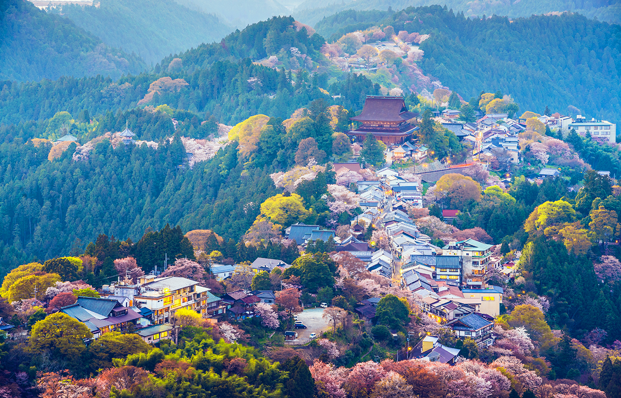 櫻花季限定｜奈良公園·東大寺·吉野山千本櫻一日遊｜大阪出發
