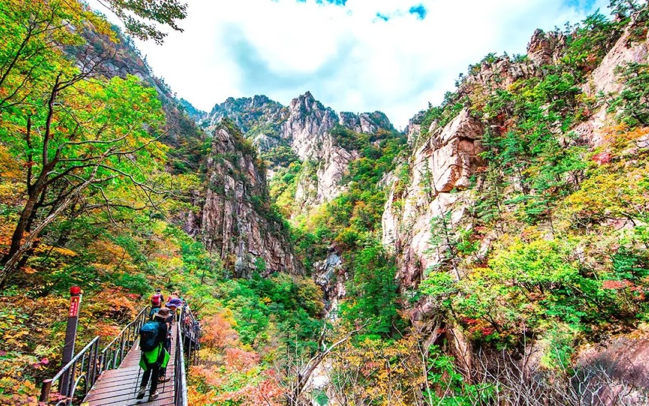 Seoraksan National Park & Naksansa Temple Sightseeing Tour