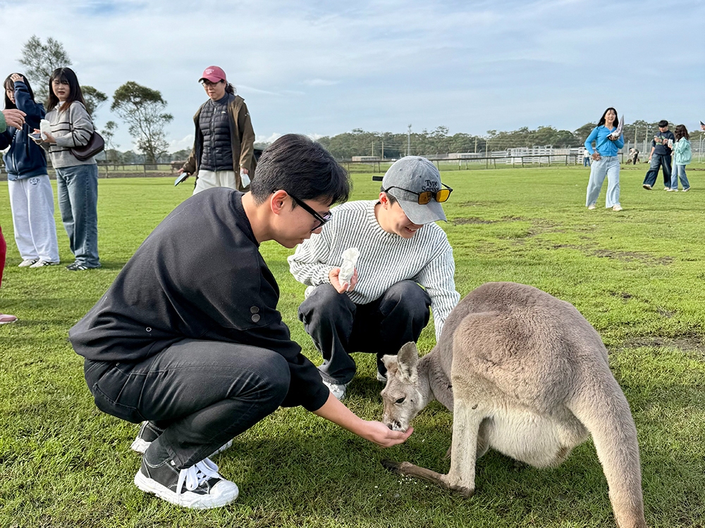 Port Stephens One Day Tour (Korean): Zoo, Winery, Dunes & Dolphins