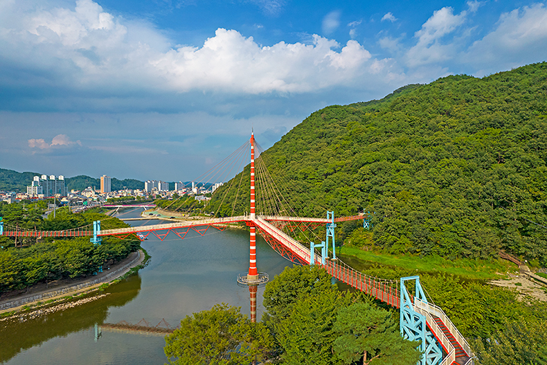[Spring Season] Hwangmaesan Azalea One Day Tour from Busan