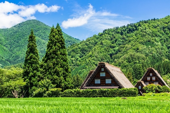 白川鄉 & 南礪村莊之旅（高山出發）