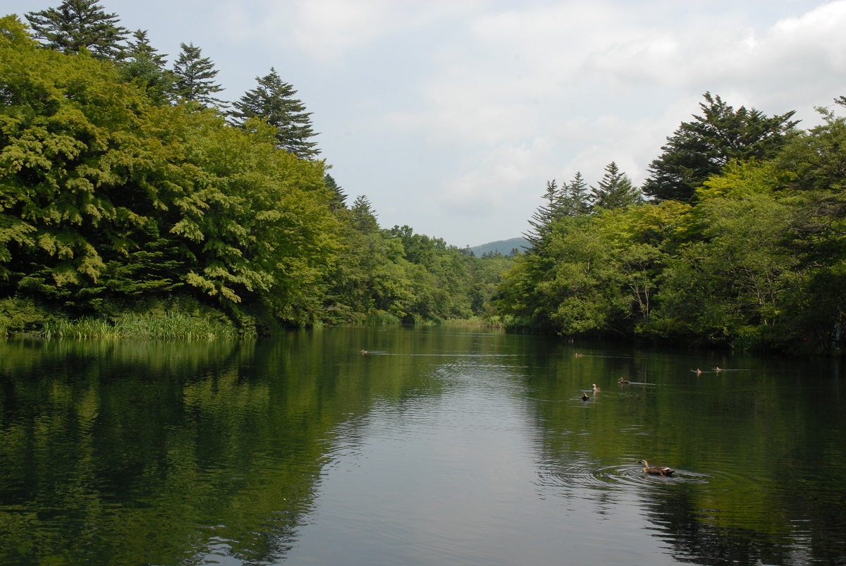 Karuizawa One Day Self Guided Trip from Tokyo by Shinkansen