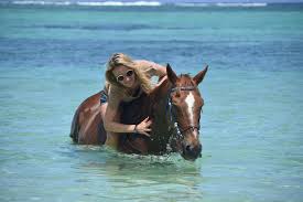 Mauritius Horse Riding Adventure with hotel pick up