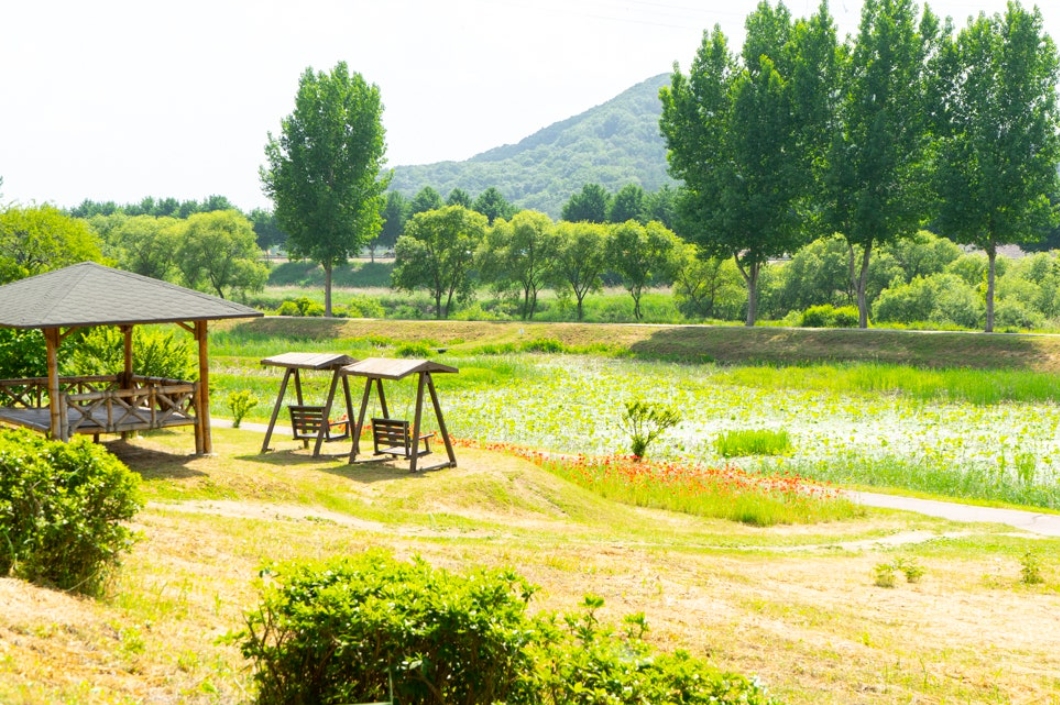 Gongju Light Aircraft & Gongju Day Tour