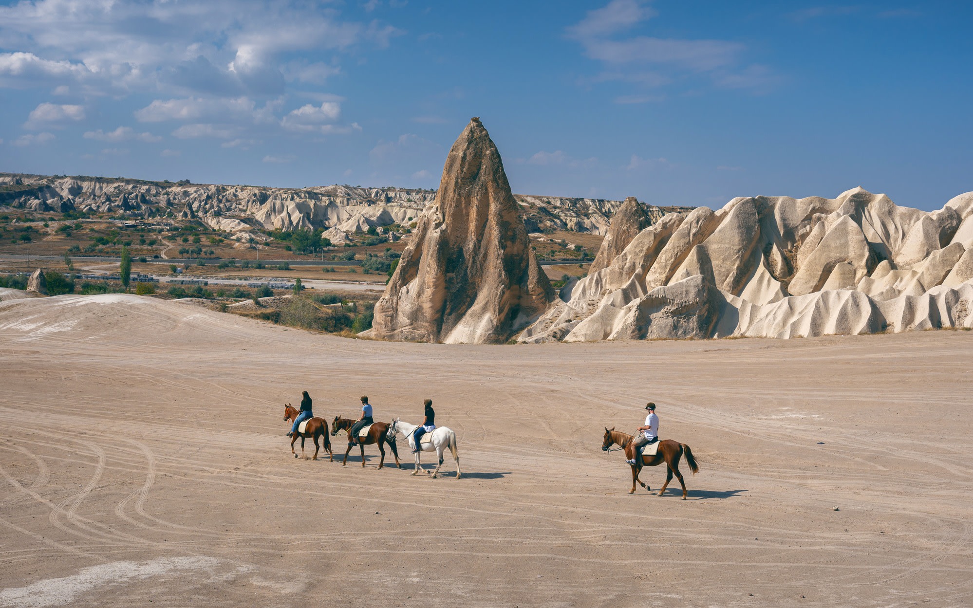 Baku Gobustan & Absheron Full-Day Historical Volcano Tour