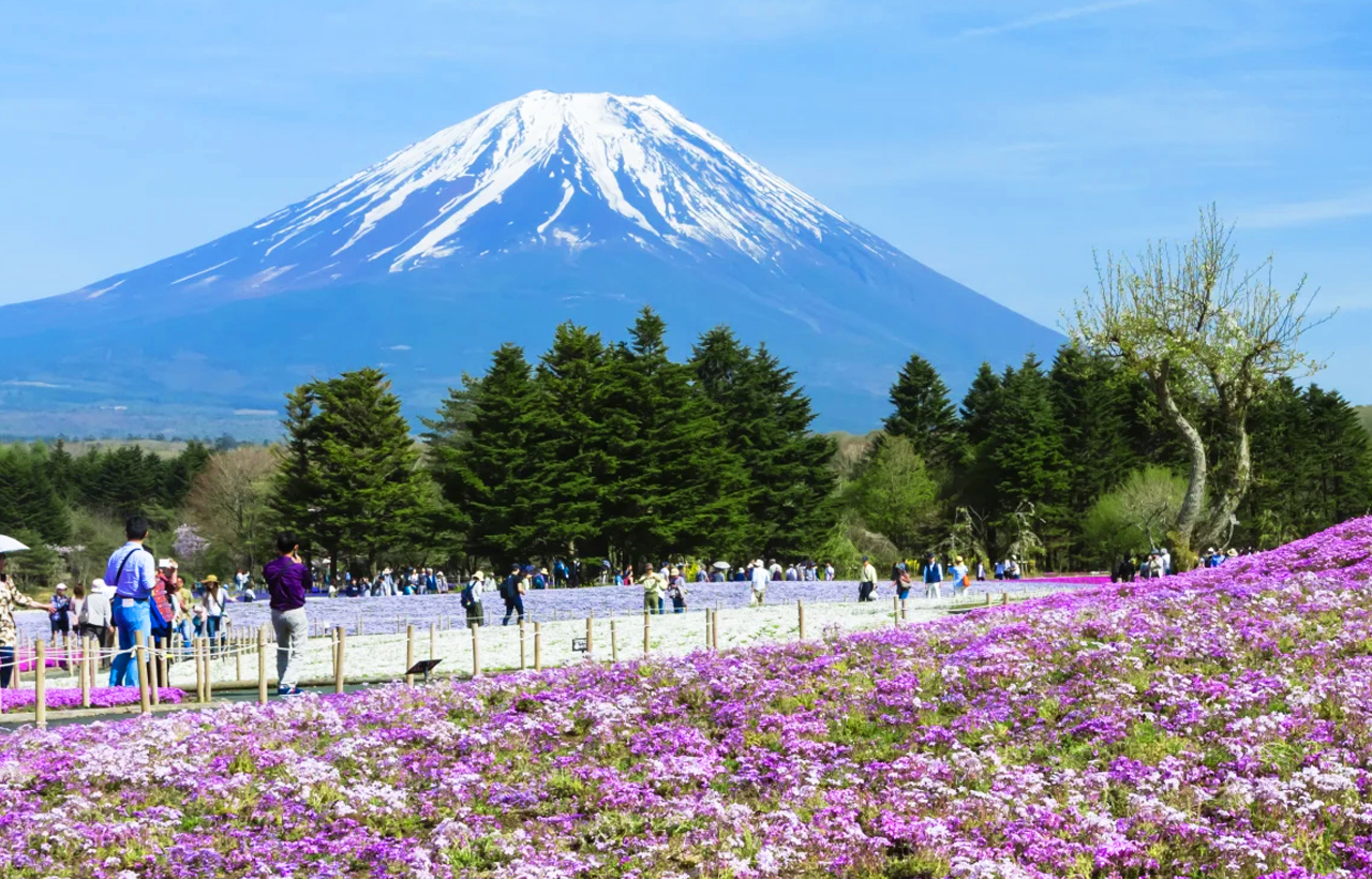 網紅打卡勝地-新倉山淺間公園&日川時計店&忍野八海&河口湖大石公園&河口湖楓葉迴廊