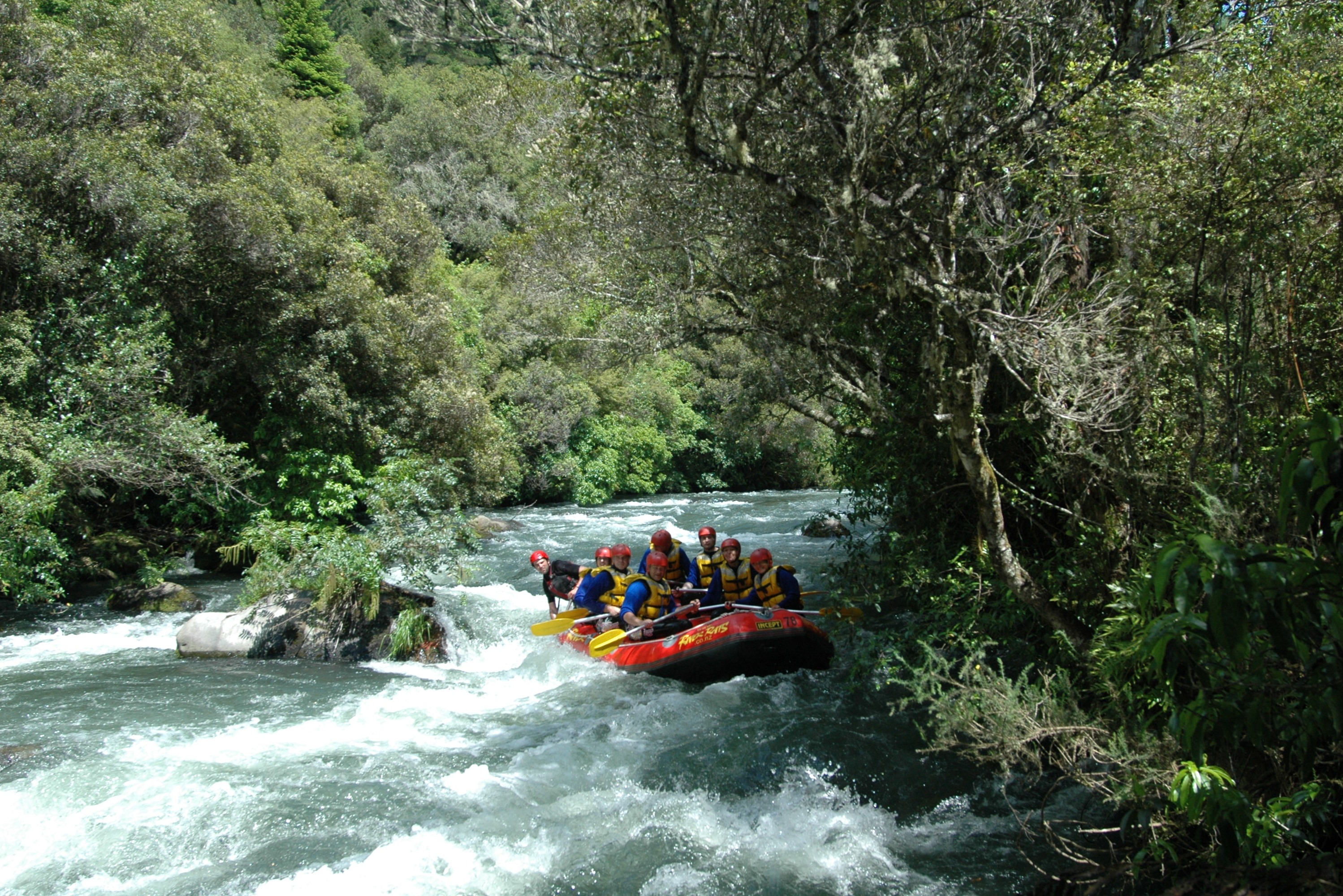 紐西蘭朗伊蒂基河（Rangitaiki）漂流體驗