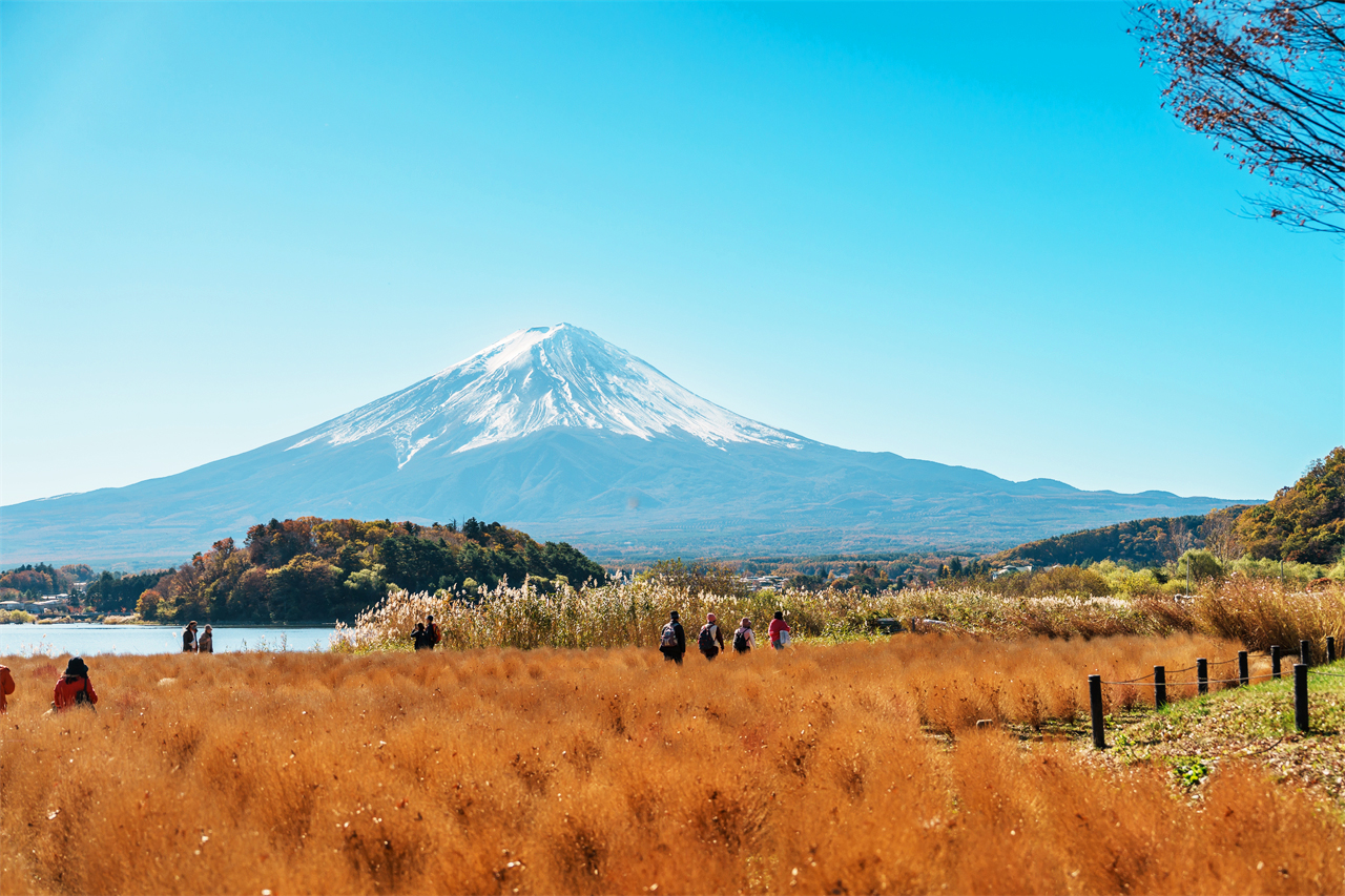 富士山探索之旅-新倉山淺間公園·天梯小鎮·忍野八海·河口湖大石公園·西湖療愈里根場一日遊