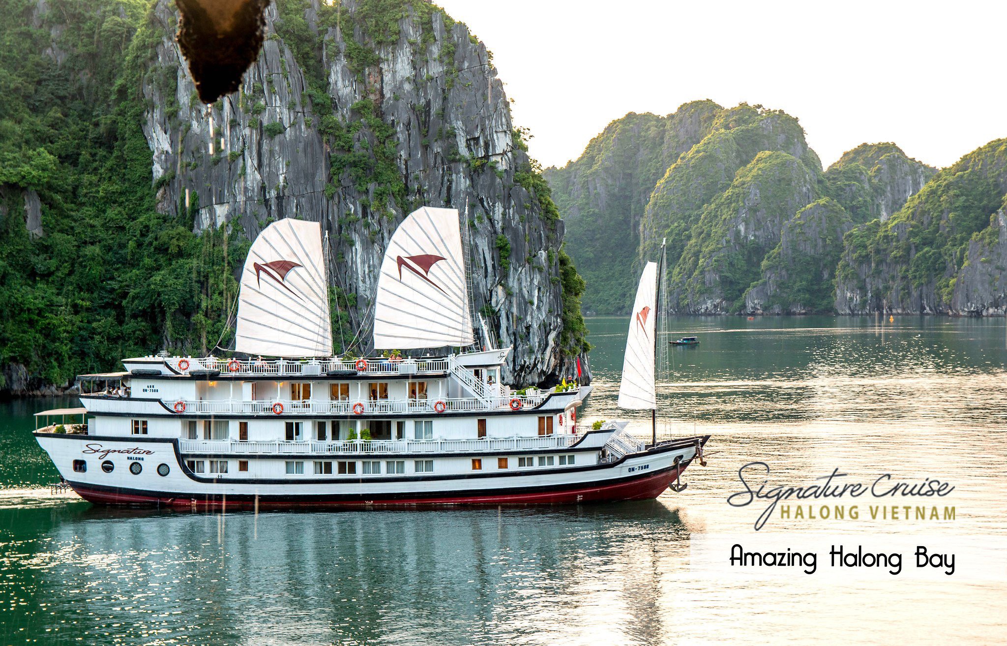 2天1夜白土龍灣＆下龍灣郵輪之旅（Signature Cruise 提供）