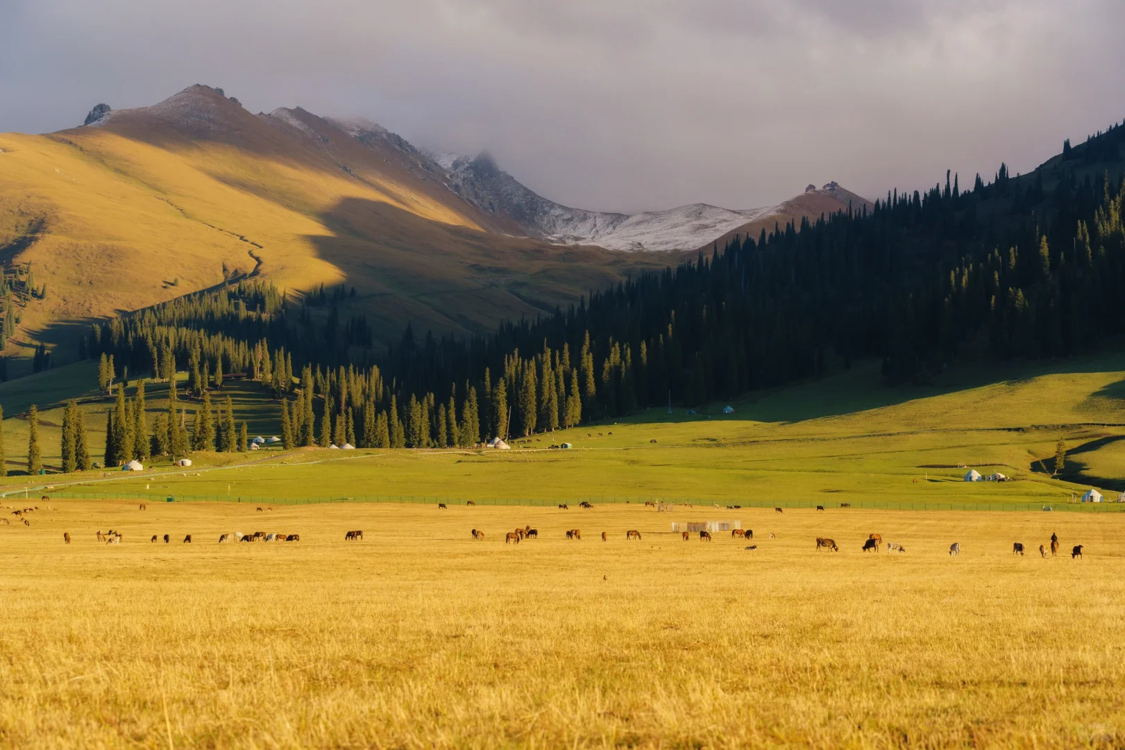 Autumn Colors in Ili: Eight-Day Tour (Sayram Lake Afternoon Tea + Kuerdening Wild Luxury Hotpot + Xiata + Narat)