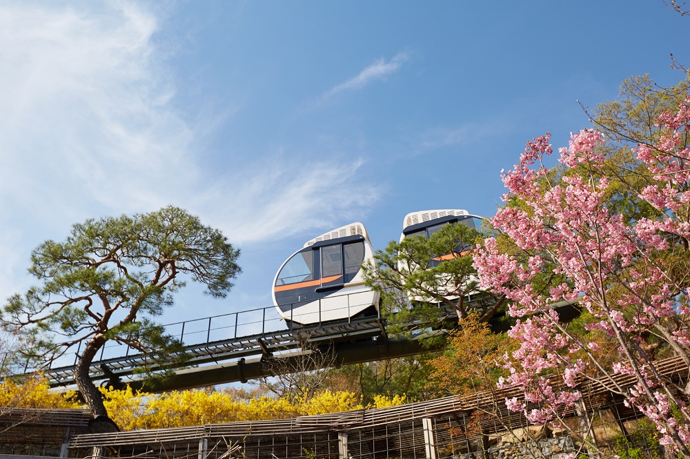 A healing forest where visitors can enjoy stunning seasonal landscapes, featuring themed gardens and scenic walking trails.