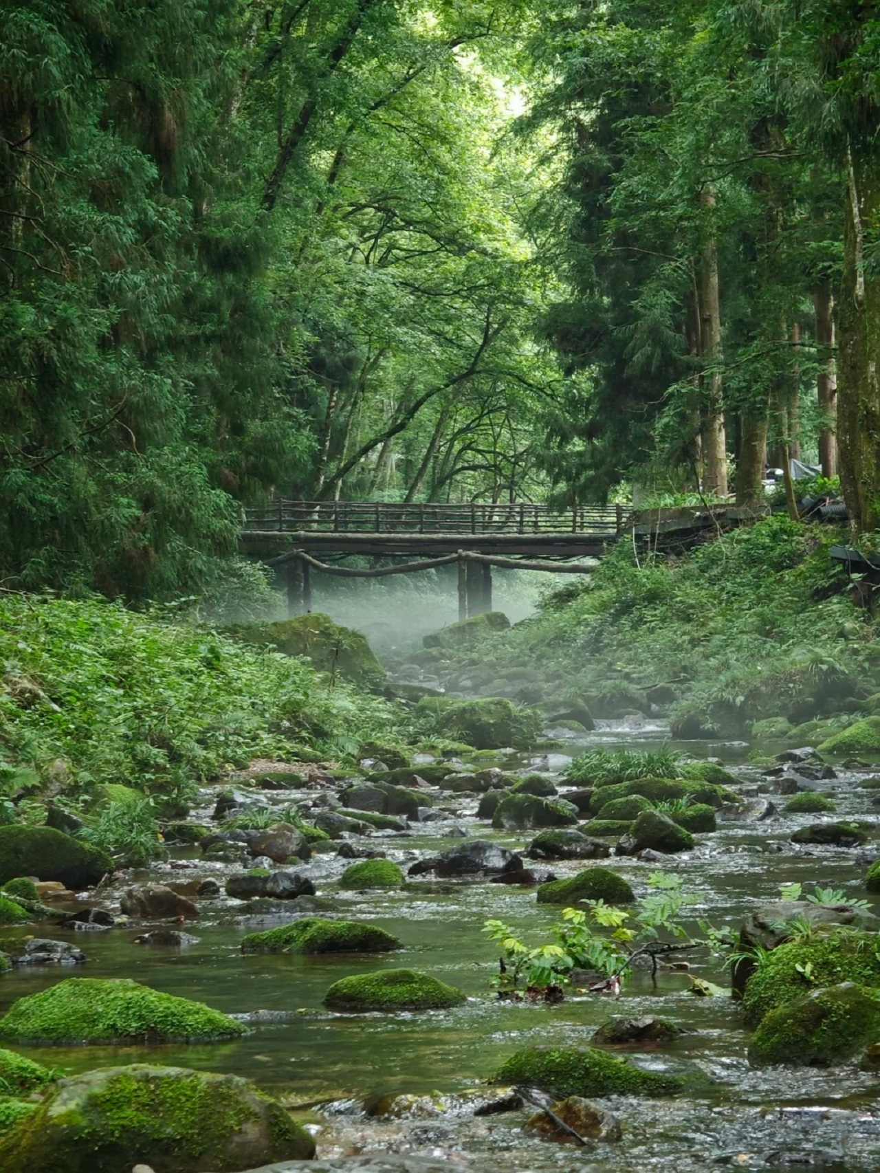 湖南張家界國家森林公園高端2日遊（袁家界+”阿凡達“外景拍攝地+百龍天梯+天子山+十里畫廊+金鞭溪+黃石寨+探尋自然奧秘）
