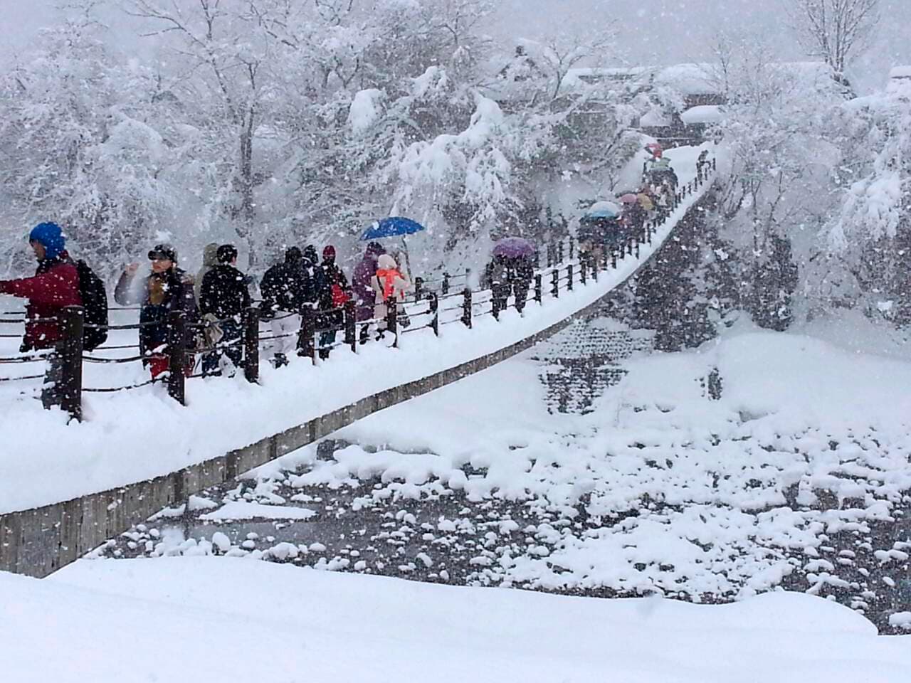 World Heritage Shirakawago Lightup Day Tour from Kanazawa Departure