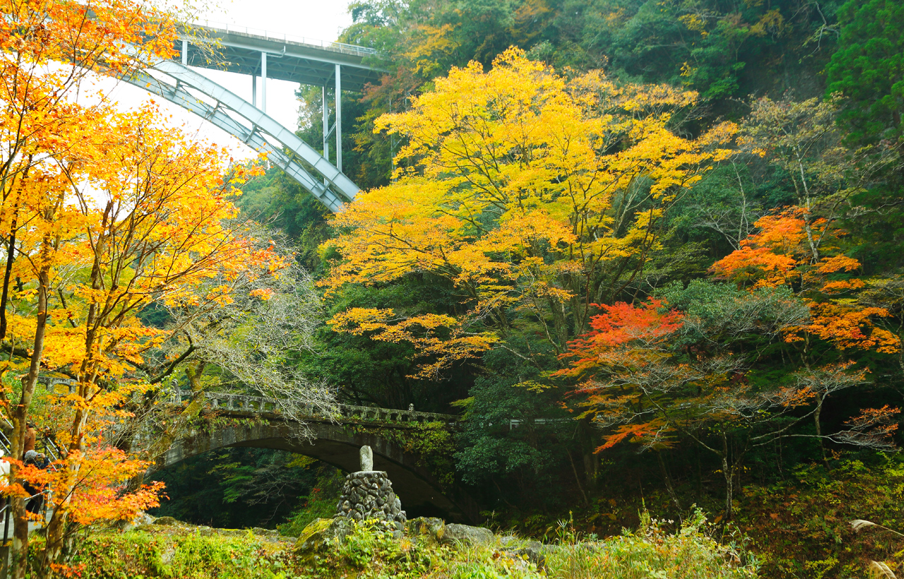 九州宮崎精華一日遊｜高千穂峽+天巖戶神社+天安河原+上色見熊野座神社｜福岡出發