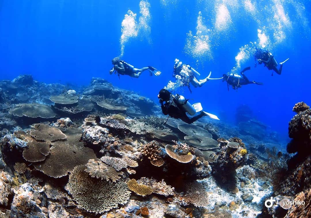 愛妮島 PADI 五星潛水中心開放水域潛水課程
