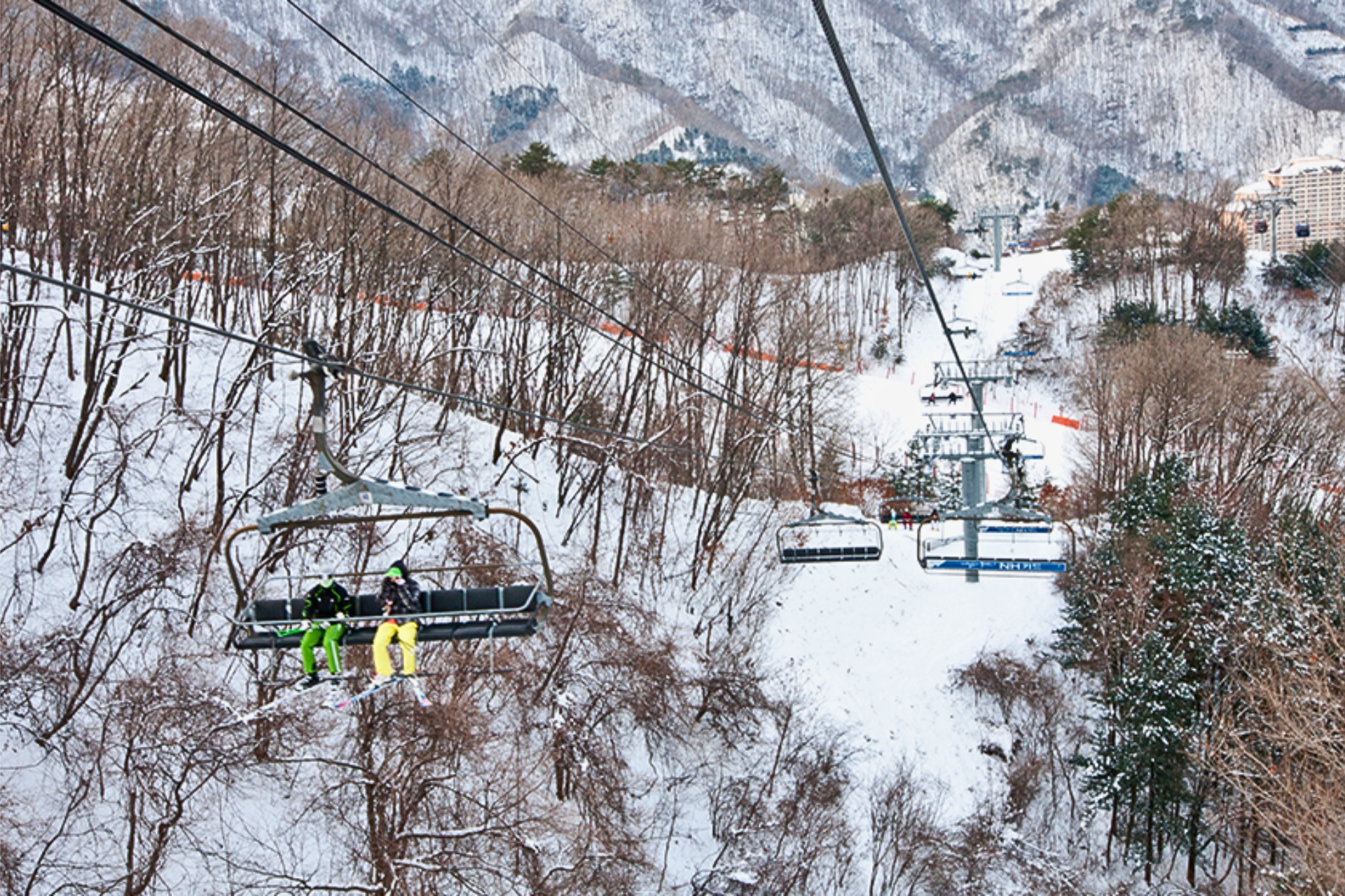 [Early Bird] Vivaldi Park Ski/Snowboard Trip from Seoul