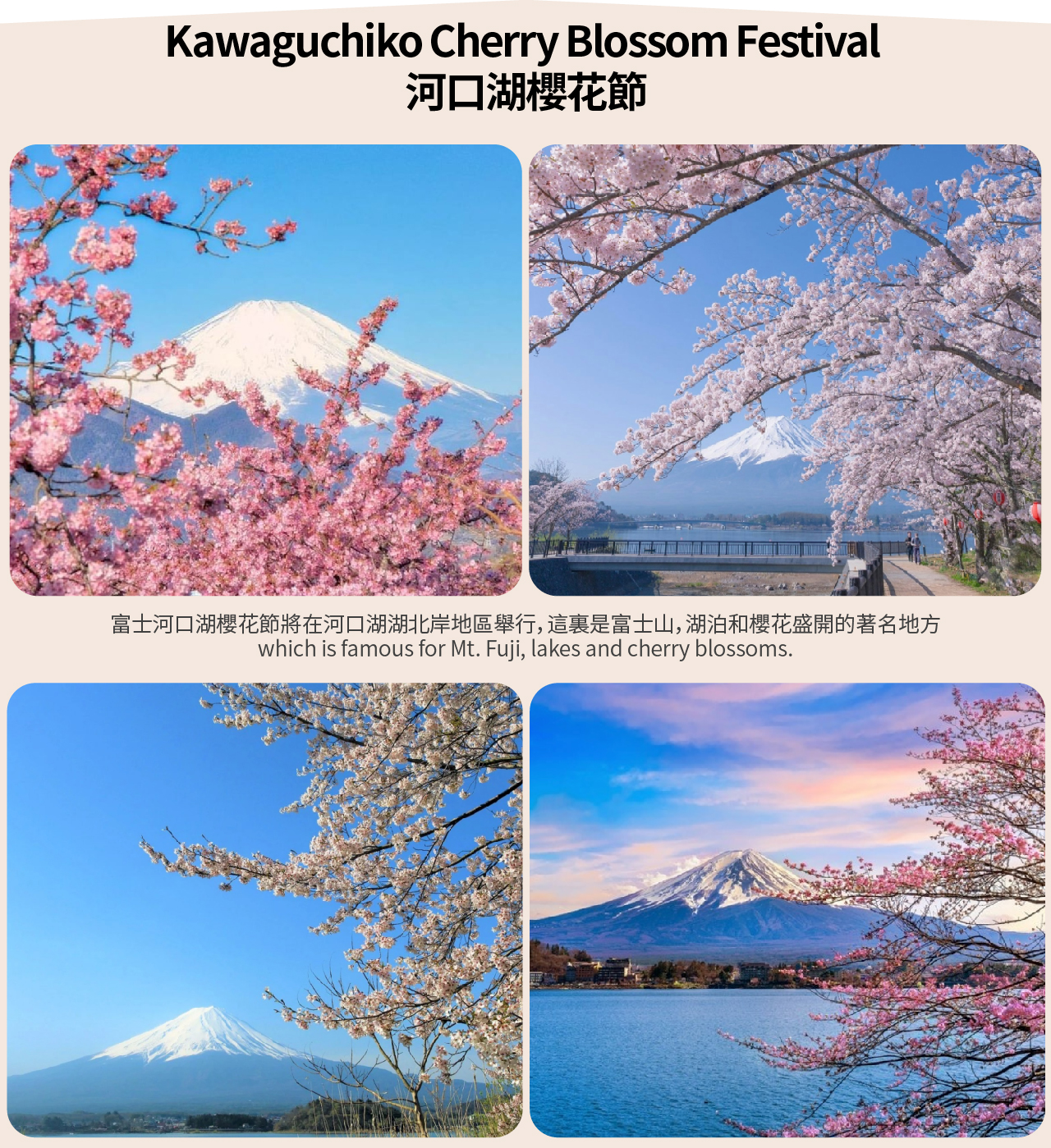 【富士山雙湖美景網紅溫泉一日遊】新倉山淺間公園或富士山五合目&河口湖季節限定賞楓賞花&山中湖一日遊（東京出發）