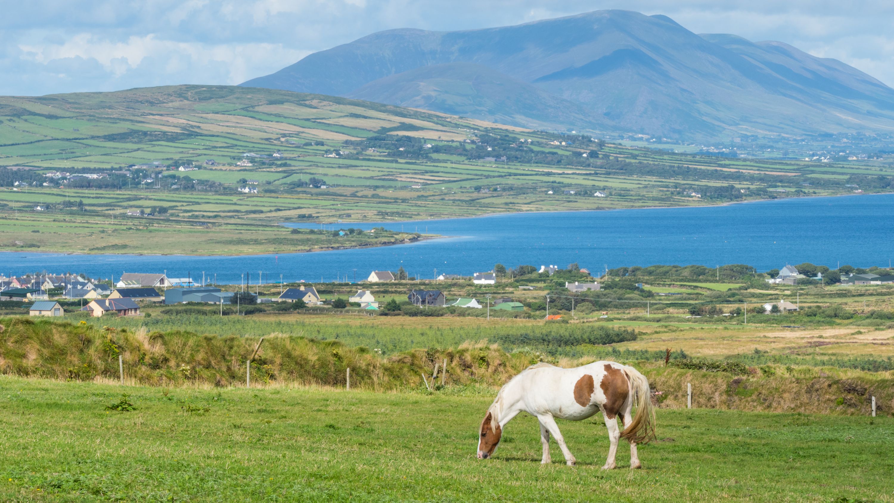 Marvel at the sweeping coastal views of the wild Atlantic from famous vantage points