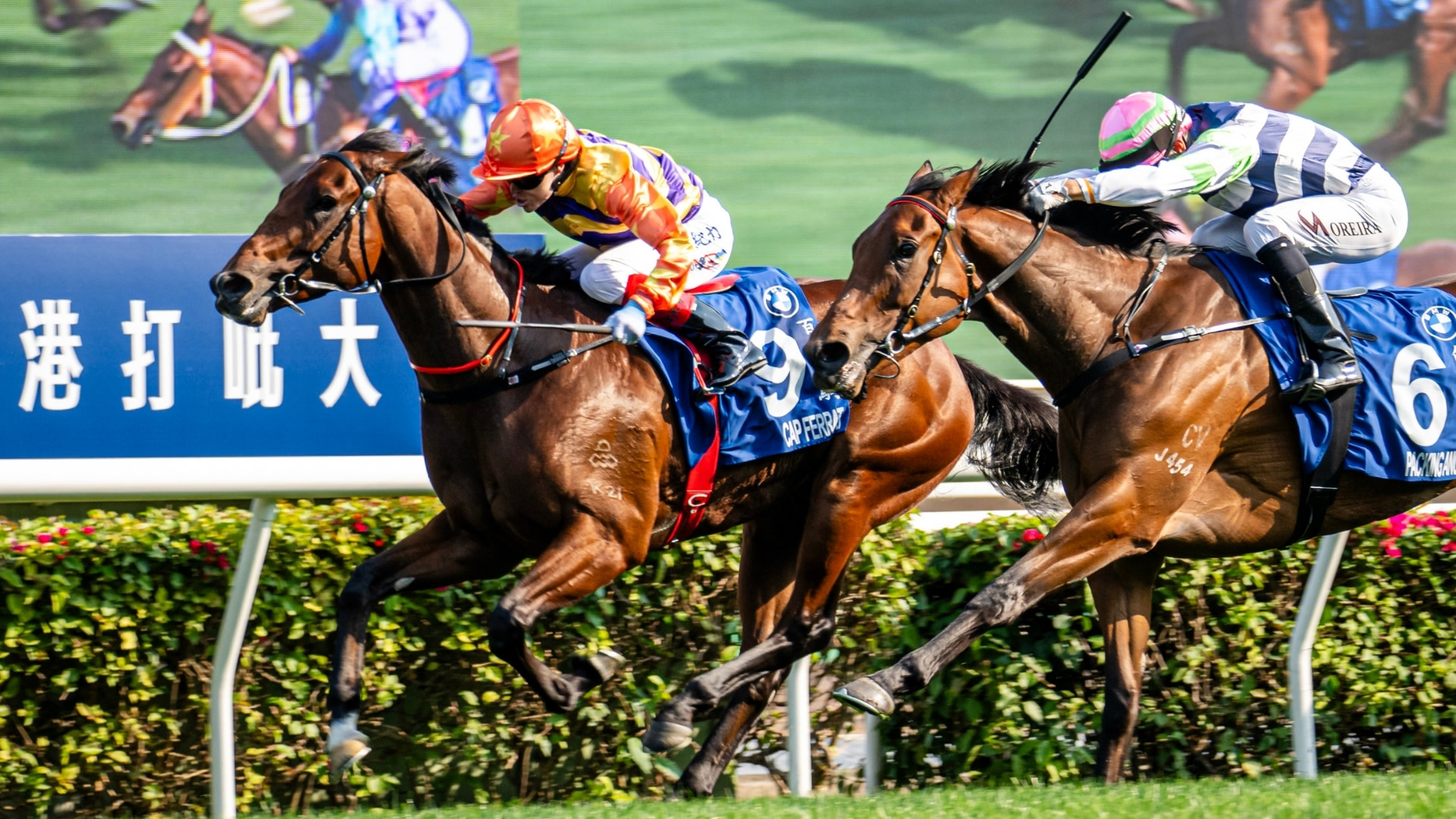 Однодневный/ночной опыт скачек с экскурсией по ипподрому и питанием