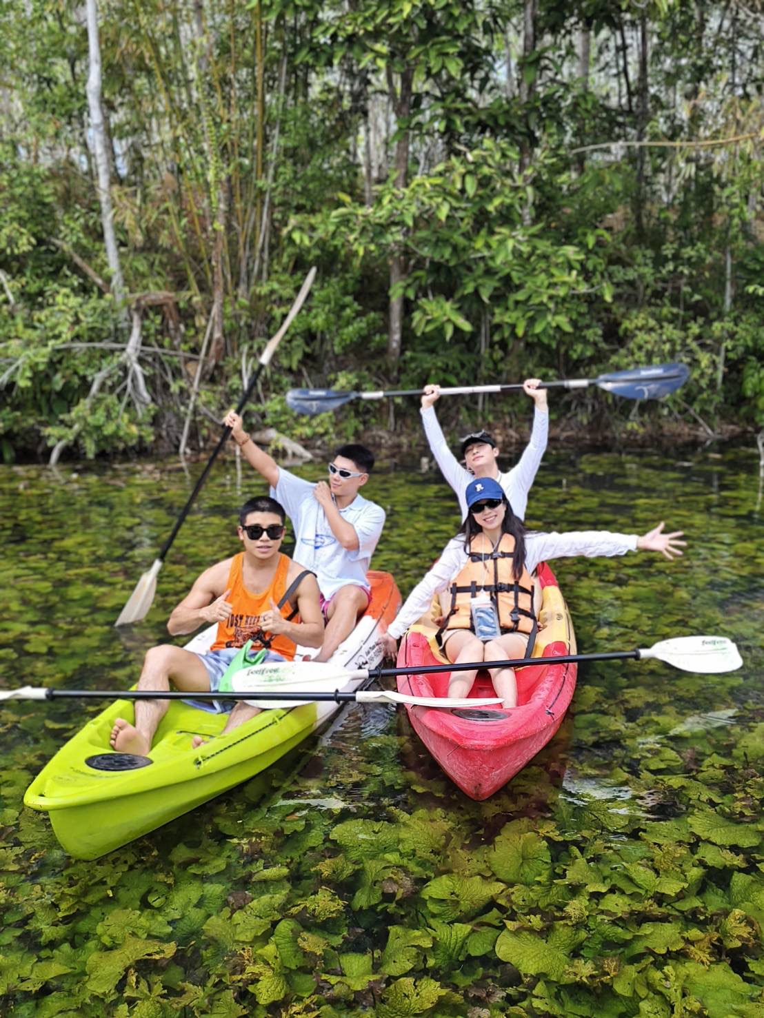 Lotus garden under water