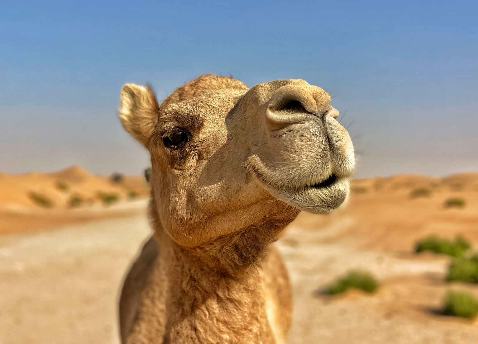 4-Days Private Merzouga Desert Tour To Fez From Marrakech