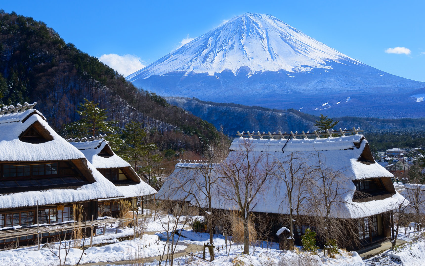 [One-Day Tour Exploring Scenic Spots of Mt. Fuji] Iyashi no Sato Nenba in Lake Saiko & Arakurayama Sengen Park & Lake Kawaguchi Oishi Park & Oshino Hakkai (From Tokyo)