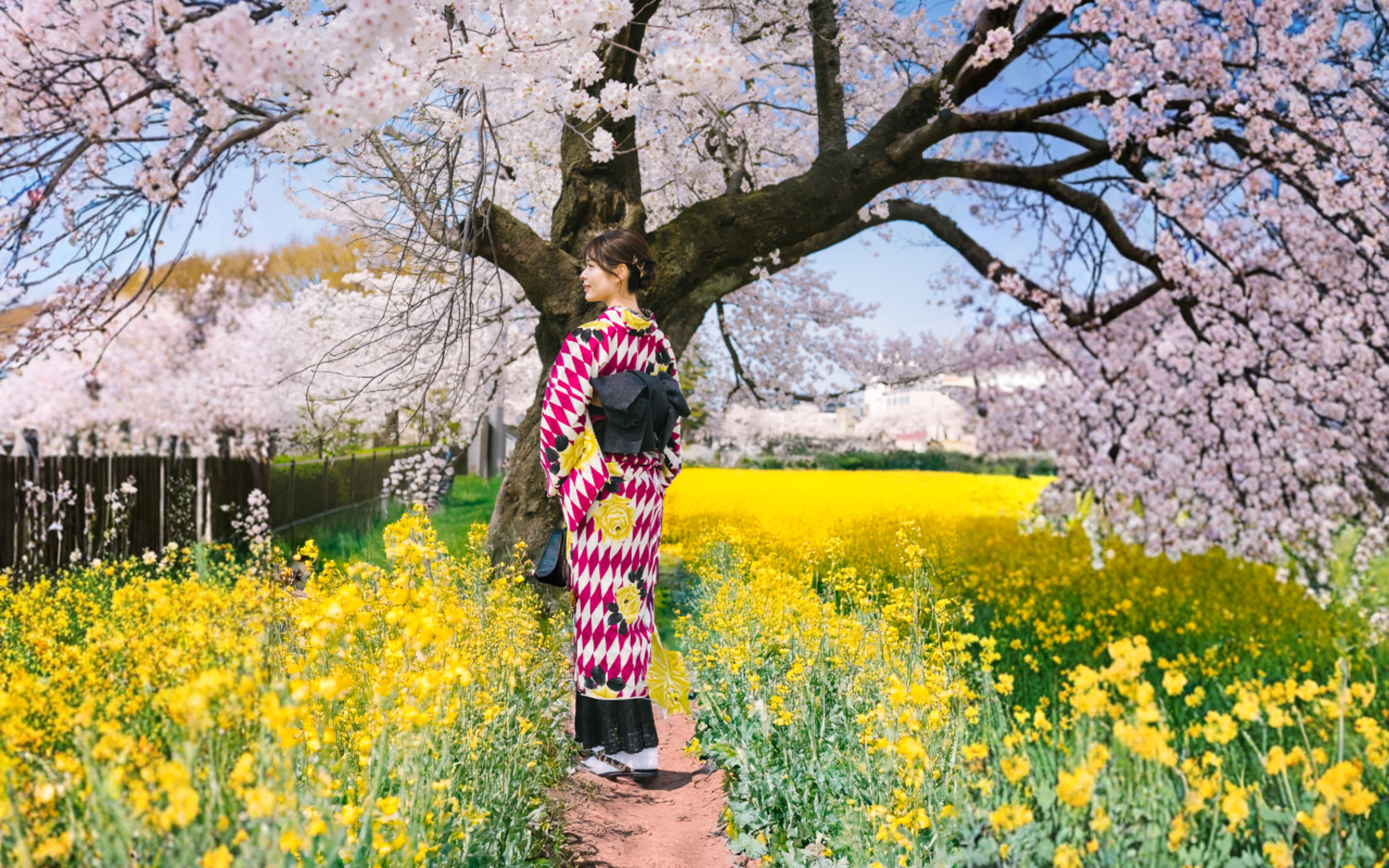 Kanazawa Kimono Street-Walking Plan [Kanazawa Kimono Karen]