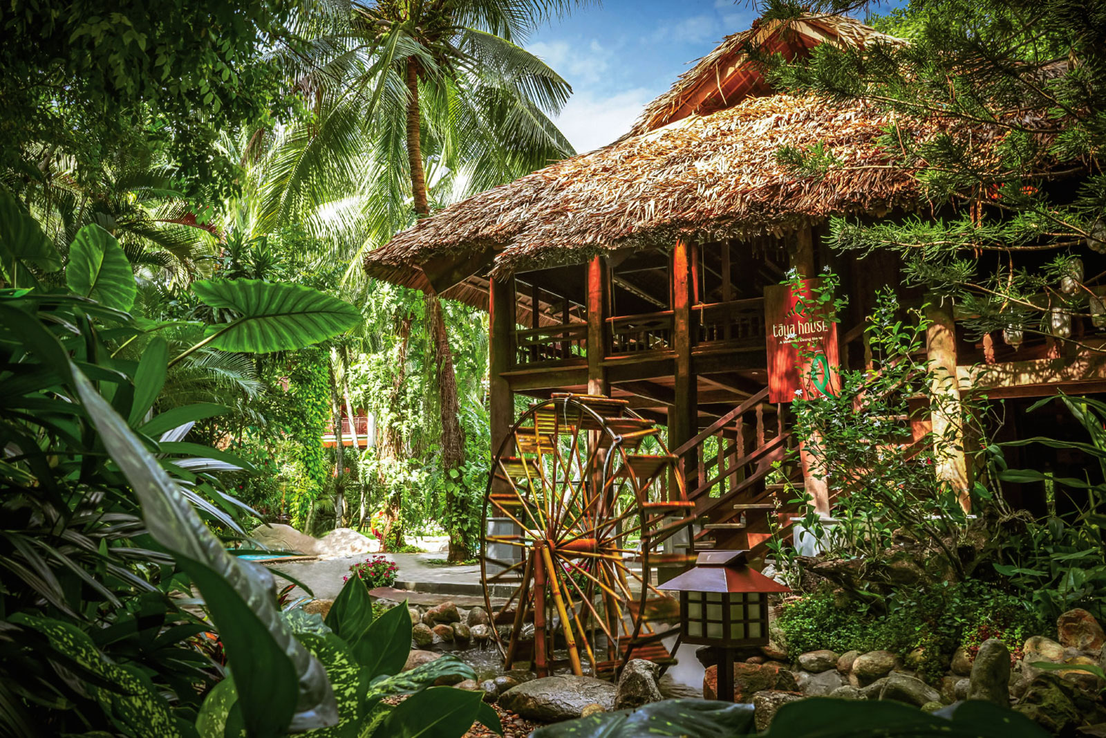 Combo Organic Mushroom Hotpot at Taya House, Furama Resort Da Nang