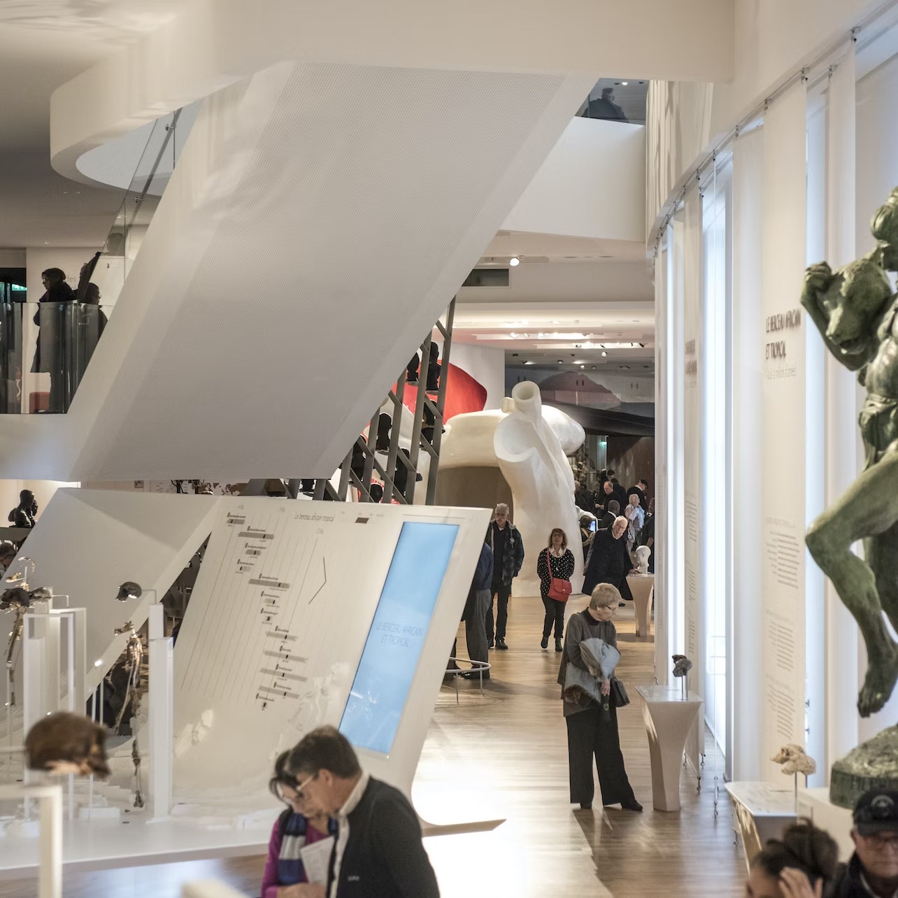 Musee de l'Homme Admission