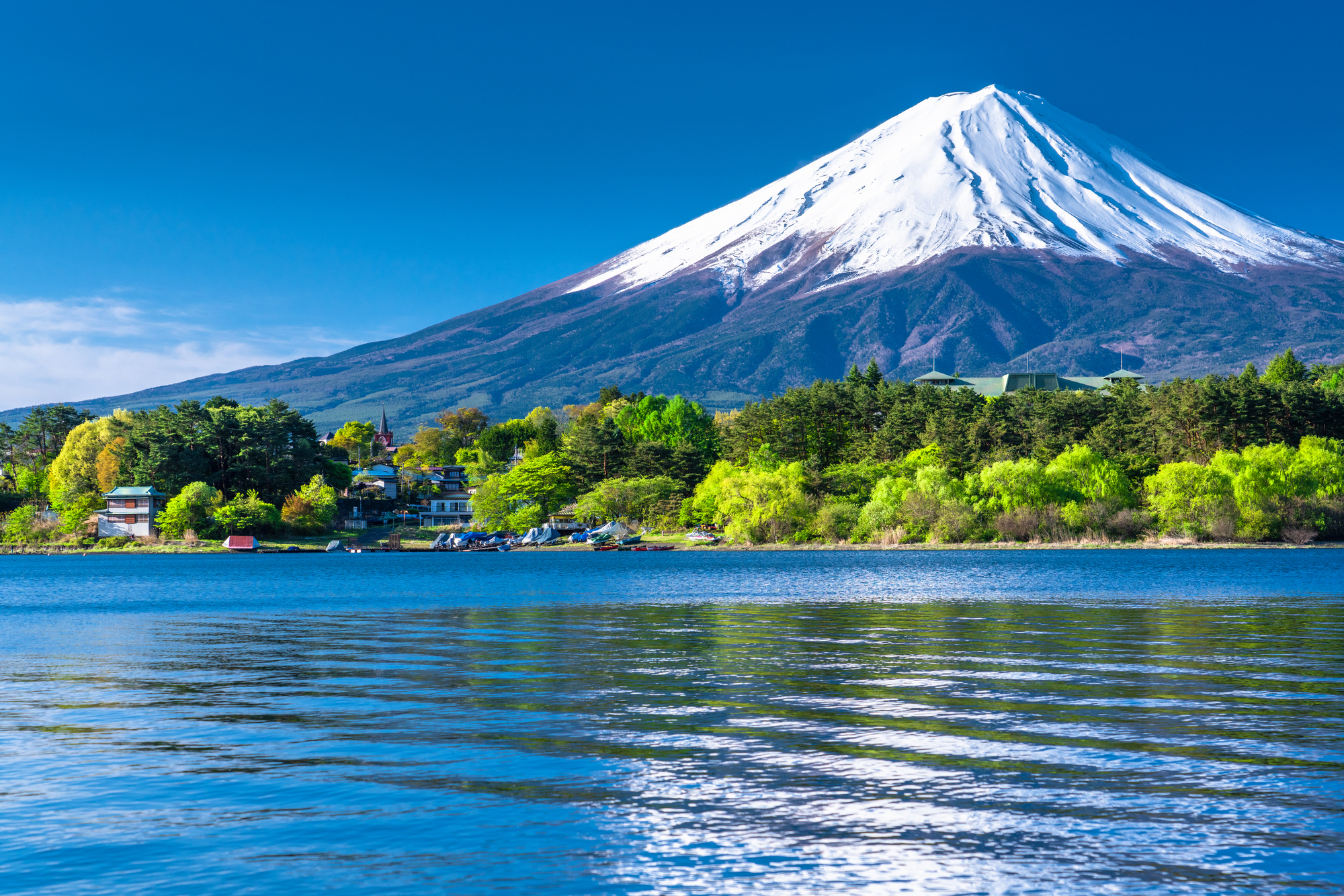 東京 - 富士山 高速巴士