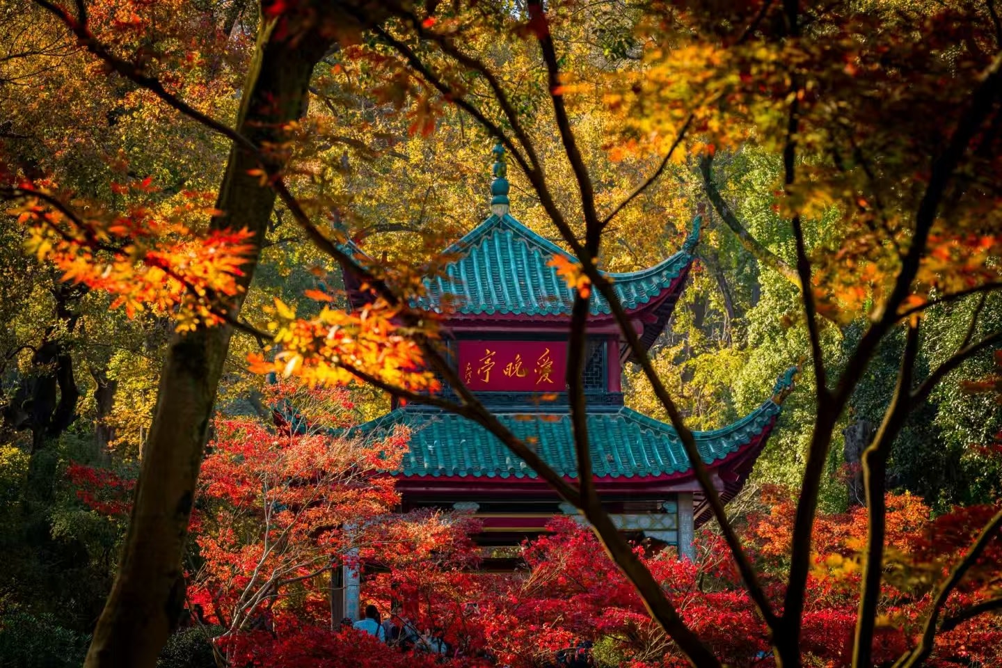 愛晚亭，位於嶽麓山清風峽中，始建於清乾隆五十七年（1792年），為清代嶽麓書院山長羅典創建