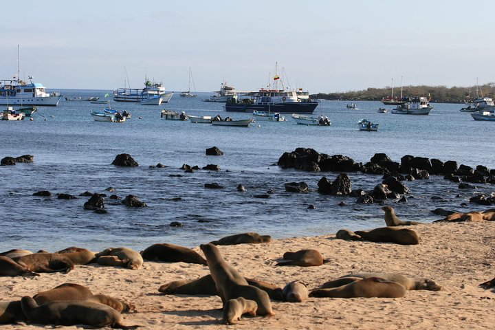 平松島浮潛＆釣魚一日遊