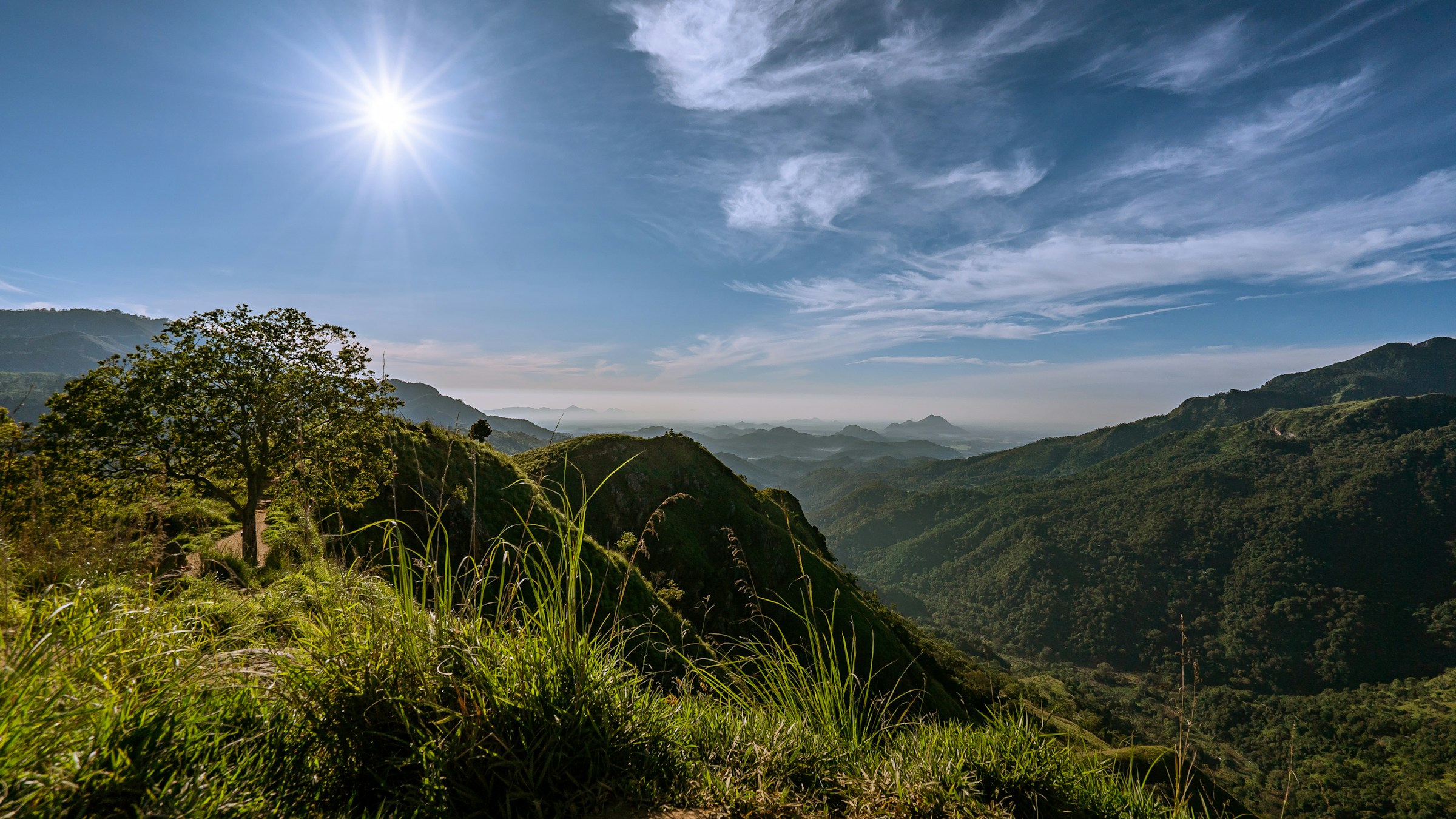 Discover Ella- Ella Rock, Little Adam's peak & Nine arch bridge