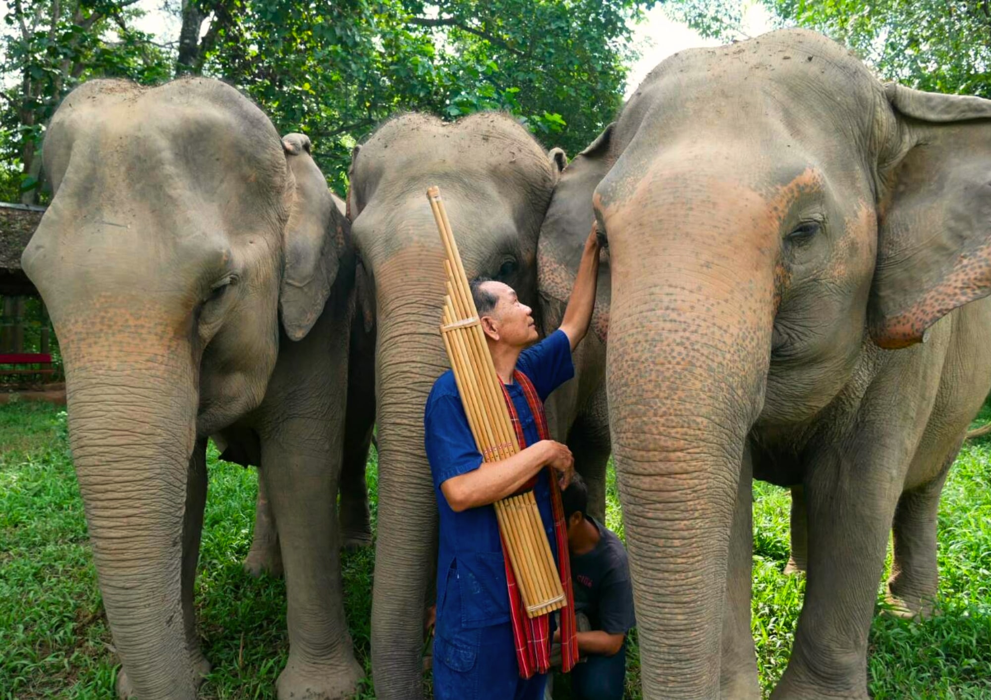 Kanchanaburi with Erawan & Elephant from Bangkok by MyProGuide