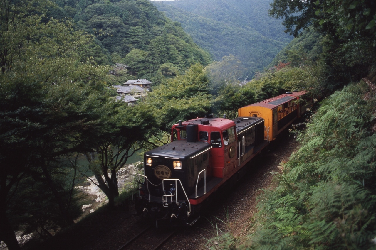 Kyoto City, Sagano Romantic Train & Hozugawa River Boat Ride Tour
