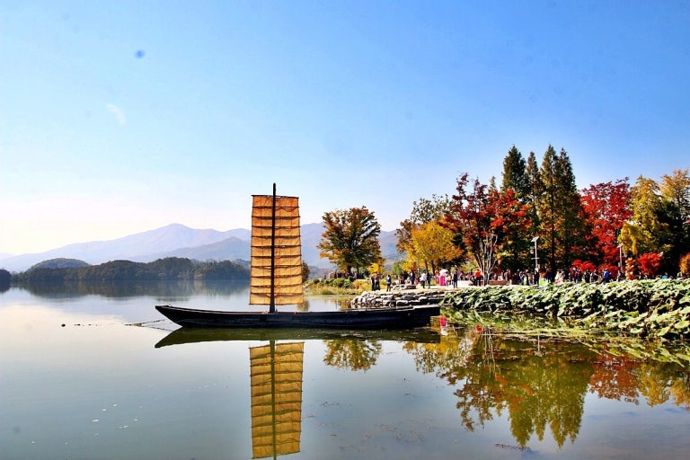 金黃色蘆葦在河畔搖曳，溫暖的陽光灑落在平靜的水面上，波光粼粼。這裡是捕捉韓國美麗秋色和寧靜倒影的絕佳地點。