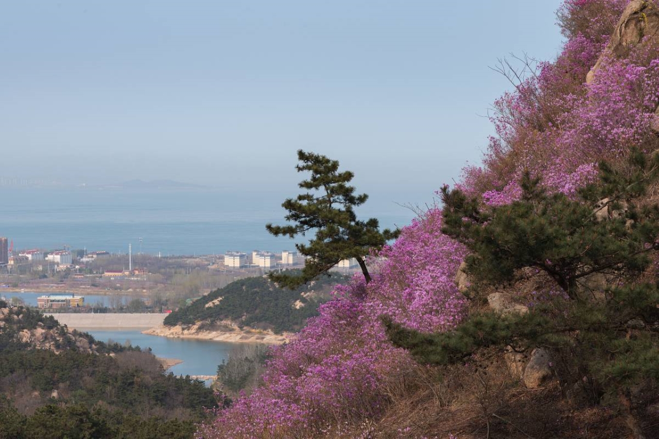 珠山國家森林公園