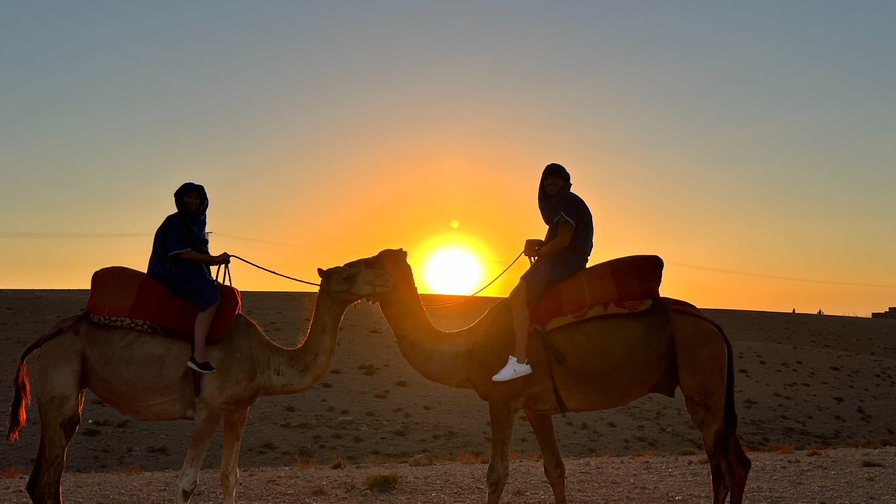 Marrakech Agafay Desert Sunset Private Camel Ride