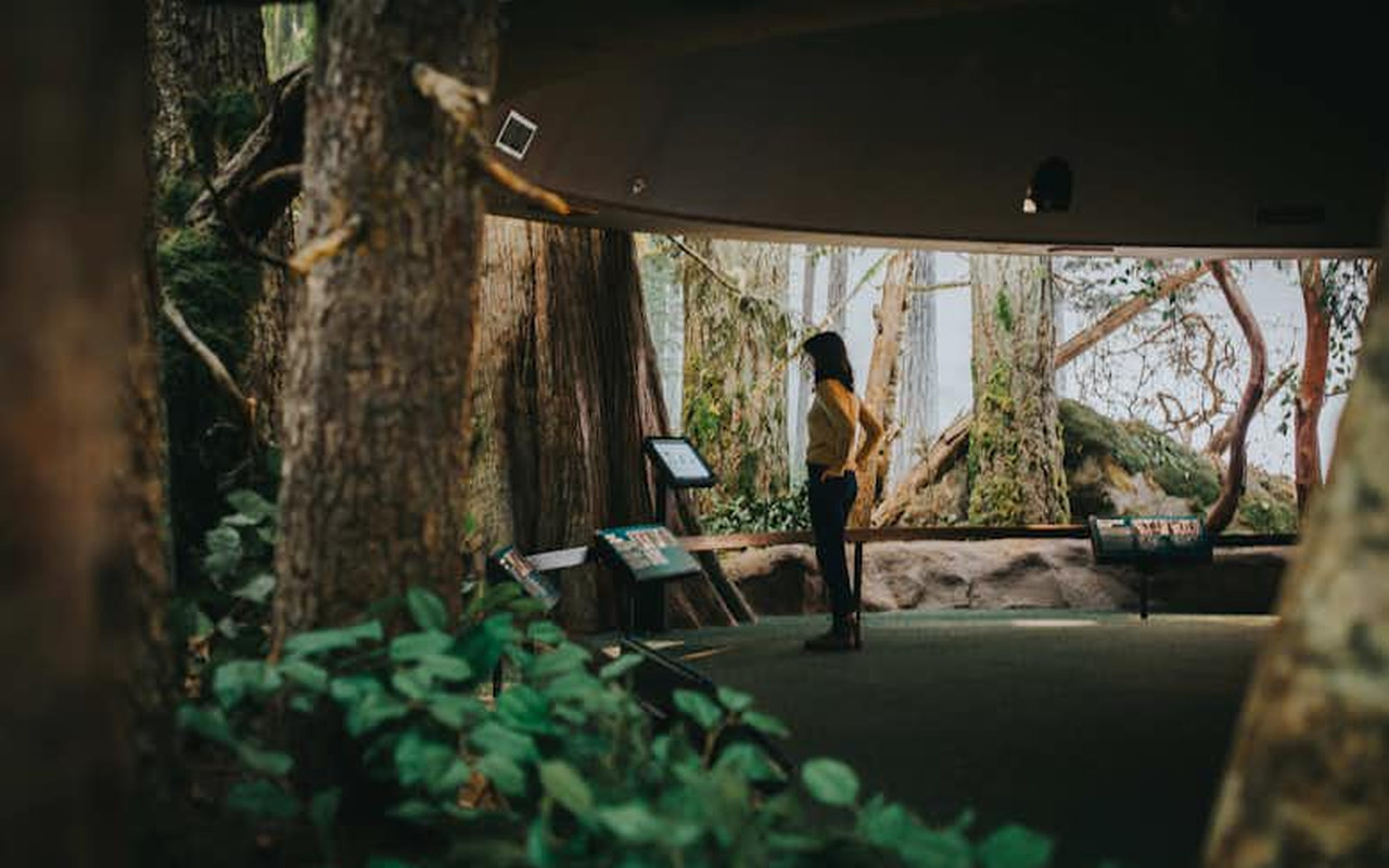 穿越時空，與遠古巨獸相遇，探索史前氣候