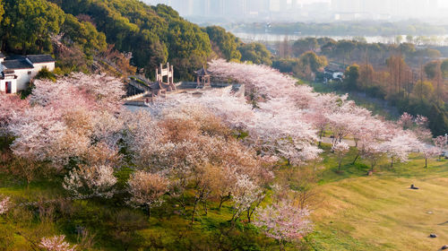 Suzhou Shangfangshan National Forest Park