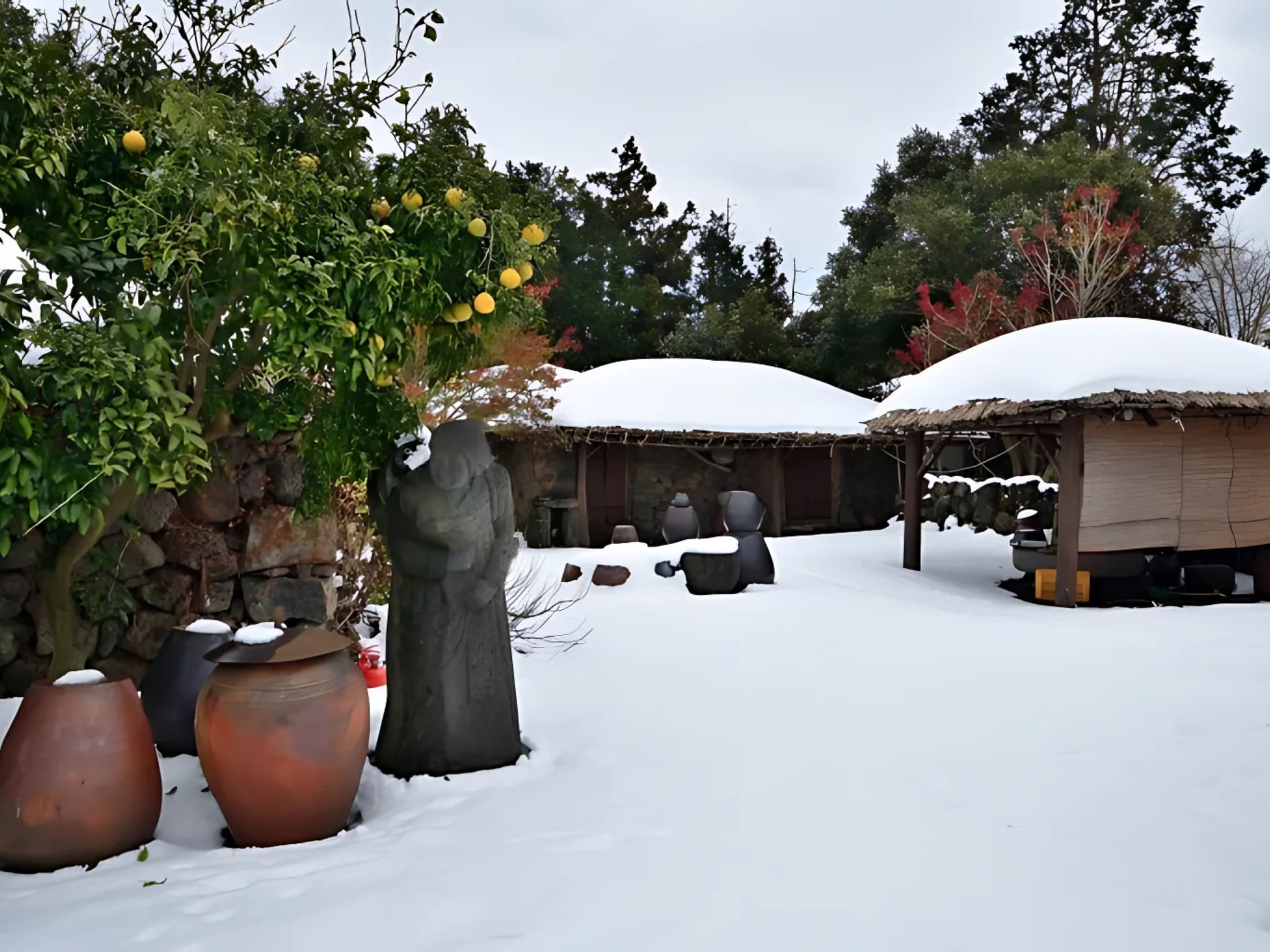 東部路線：休愛里山茶花文化園 - 城邑民俗村 - 午餐 - 城山日出峰（海女表演） - 橘子採摘體驗 - illchuland（Micheon 洞穴與山茶花）