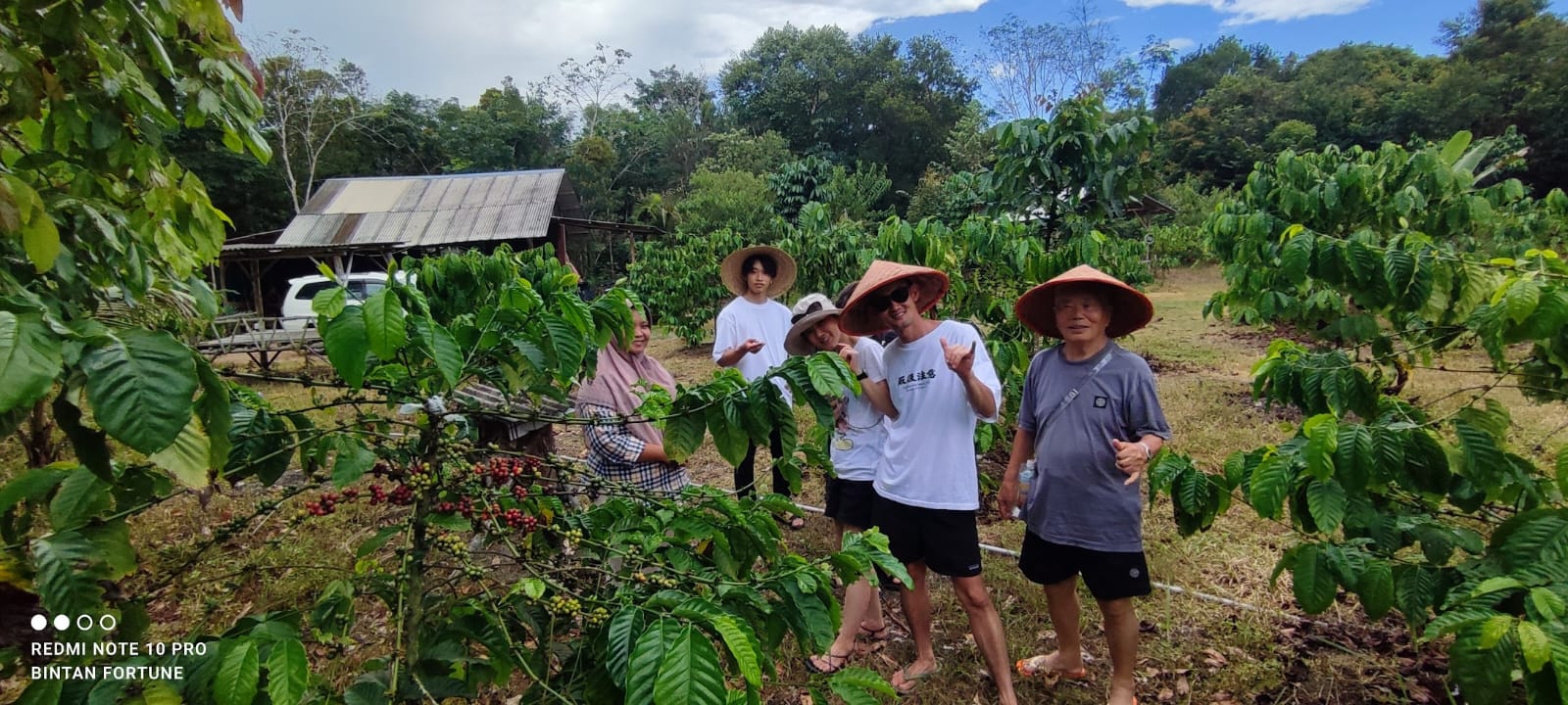 民丹島私人沙丘、藍湖 & 咖啡農場一日遊（Bintan Fortune）