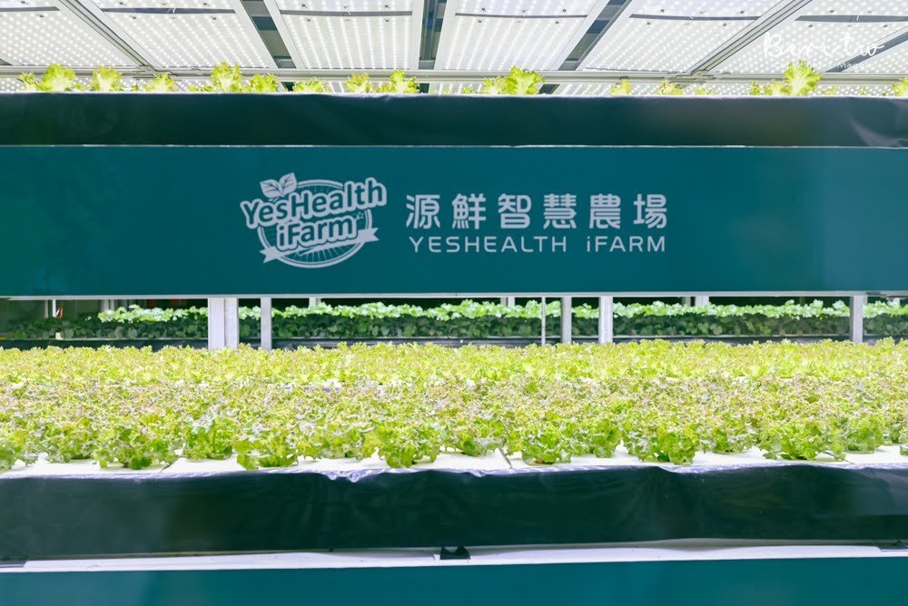源鮮智慧農場運用高科技打造無塵栽培環境，全年新鮮供應無農藥蔬菜。