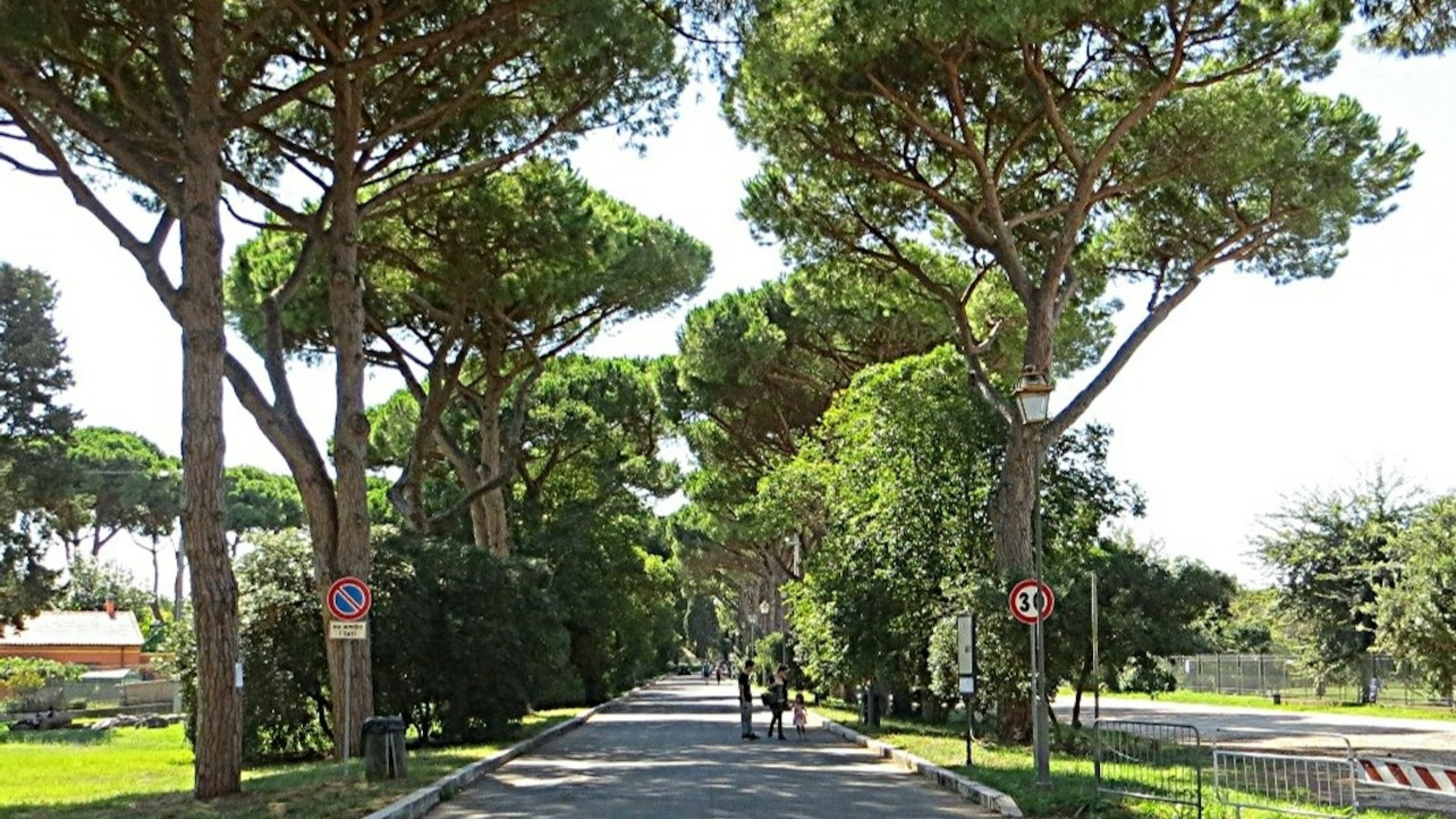 鬱鬱蔥蔥的綠色植物環繞著古老的遺址,在奧斯提亞古城(Ostia Antica)內提供了一個寧靜的休憩之所 鬱鬱蔥蔥的綠色植物環繞著古老的遺址,在奧斯提亞古城(Ostia Antica)內提供了一個寧靜的休憩之所