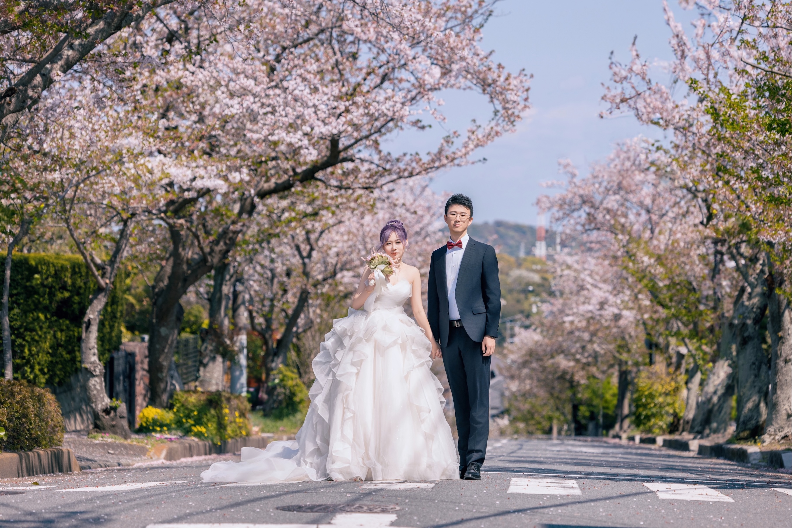 浪漫櫻花季：每年的三月底到四月中旬，想要拍攝櫻花請盡量提前預約