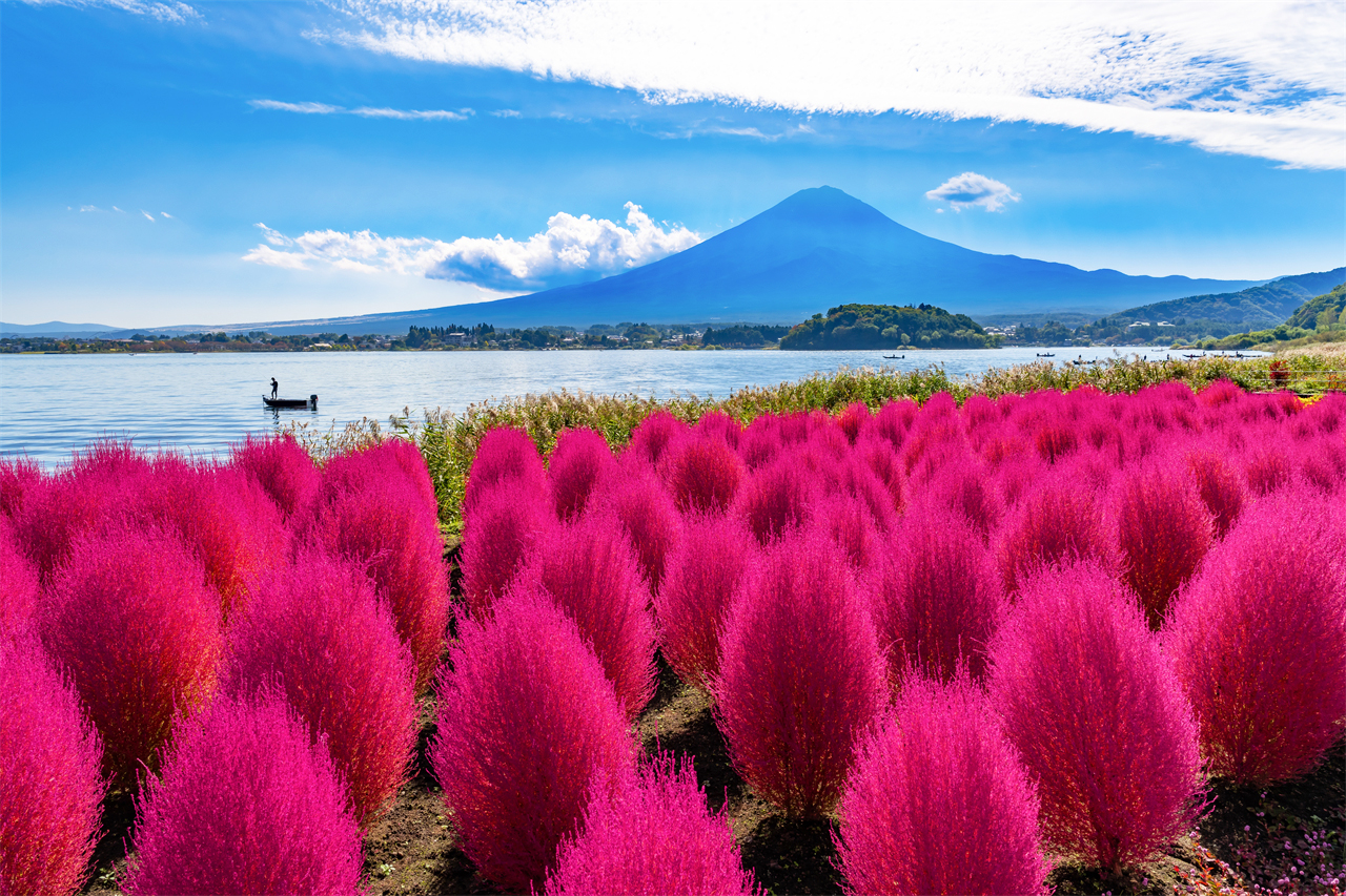 富士山探索之旅-新倉山淺間公園·天梯小鎮·忍野八海·河口湖大石公園·西湖療愈里根場一日遊